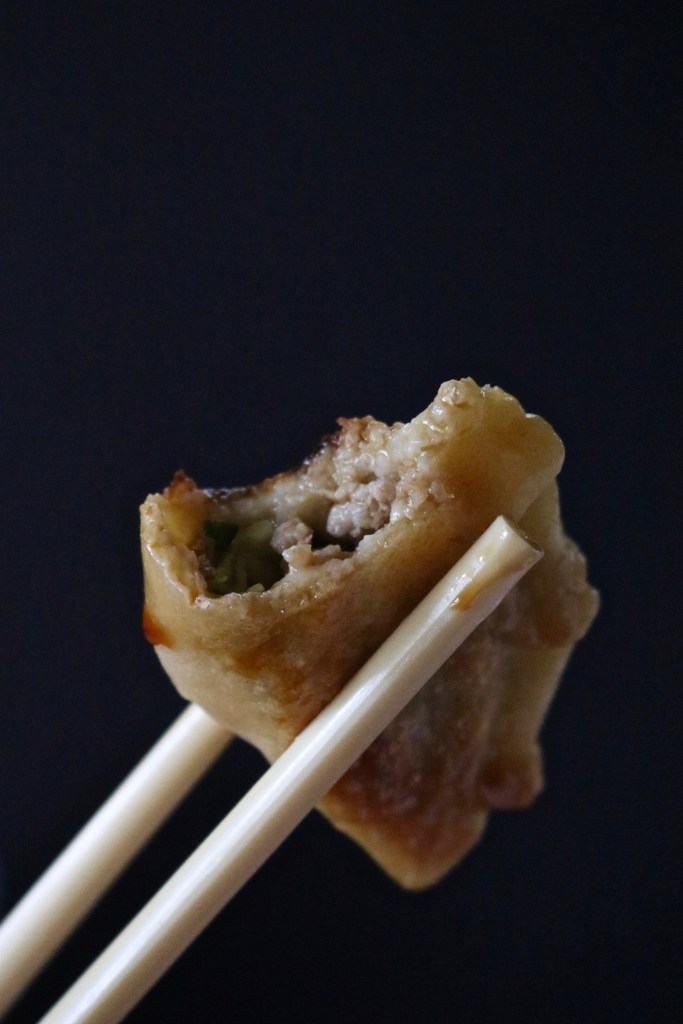 The Faa Family and Mushu's Pork Dumpling or Potsticker Recipe from Disney's Mulan.